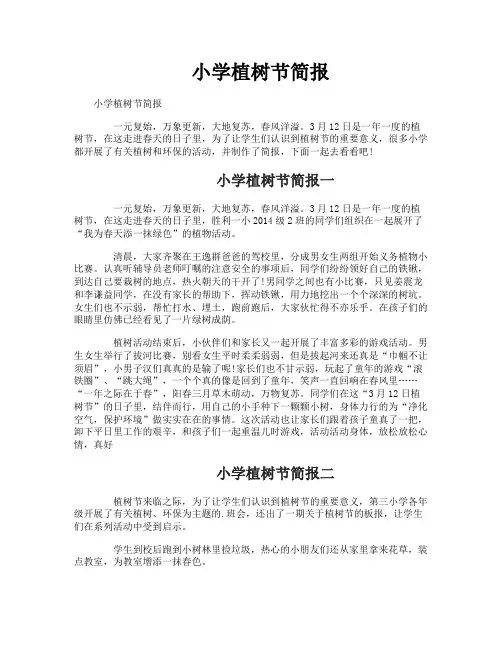 小学植树节简报