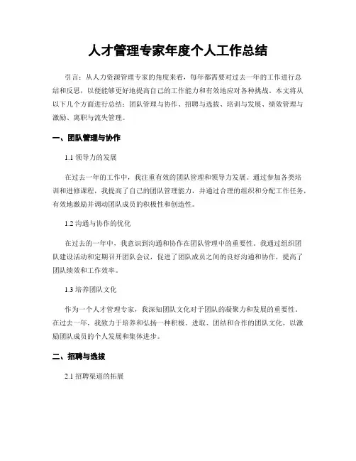 人才管理专家年度个人工作总结