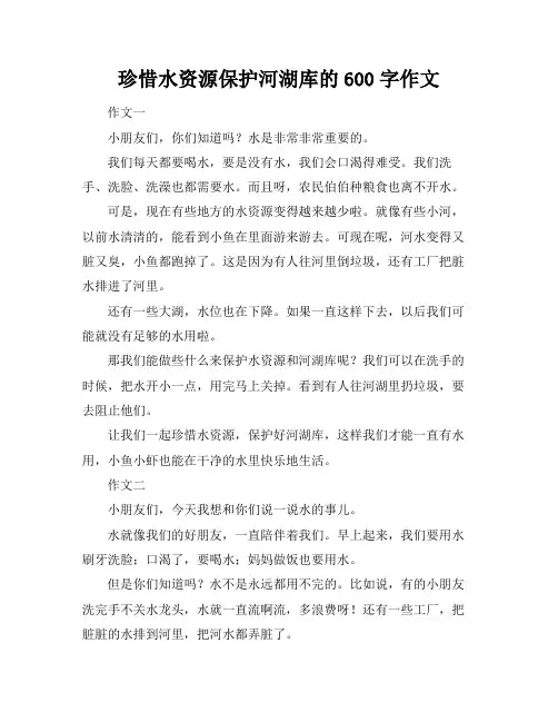 珍惜水资源保护河湖库的600字作文