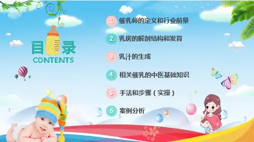 暖色家政机构护理人员培训催乳师通用PPT