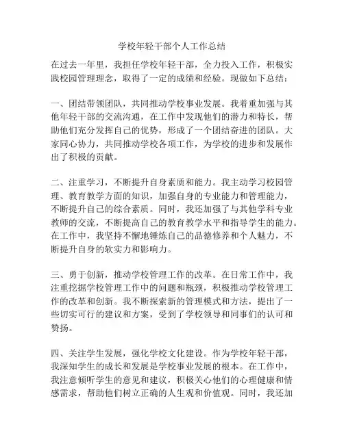学校年轻干部个人工作总结