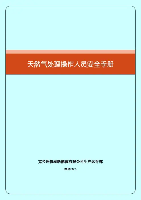 天然气处理操作人员安全手册