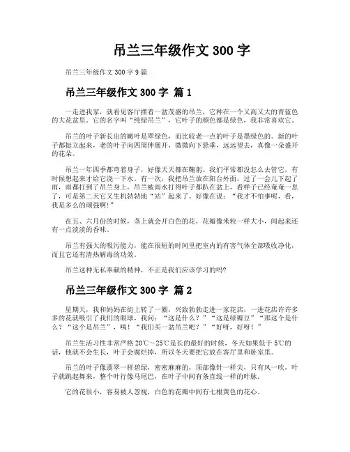 吊兰三年级作文300字