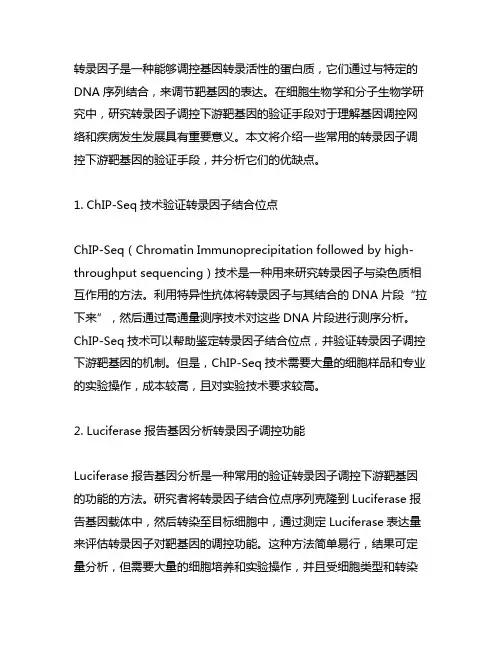 转录因子调控下游靶基因的验证手段