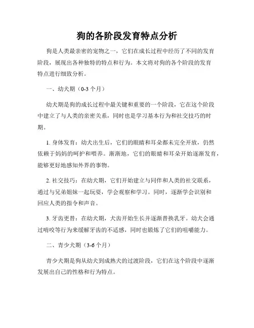 狗的各阶段发育特点分析