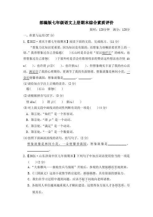 部编版七年级语文上册期末综合素质评价 附答案 (3)