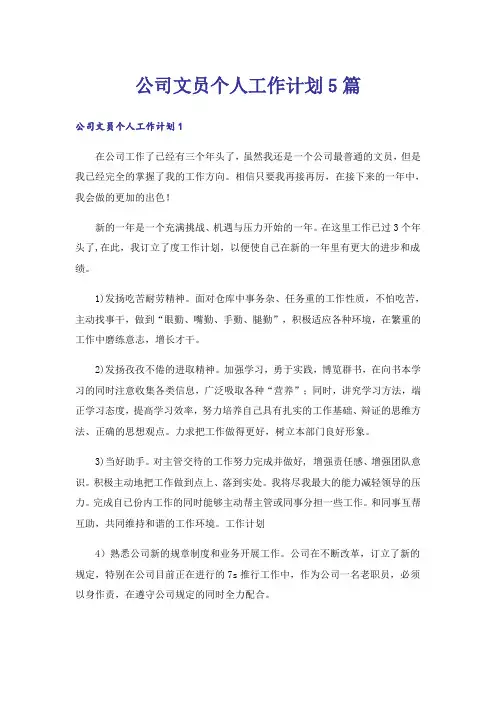 公司文员个人工作计划5篇
