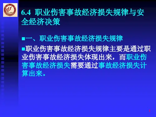 6.4安全经济原理4资料