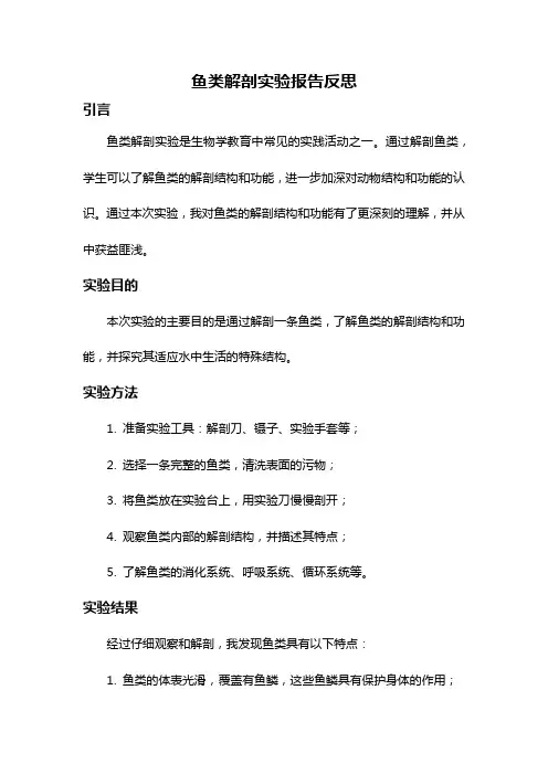 鱼类解剖实验报告反思