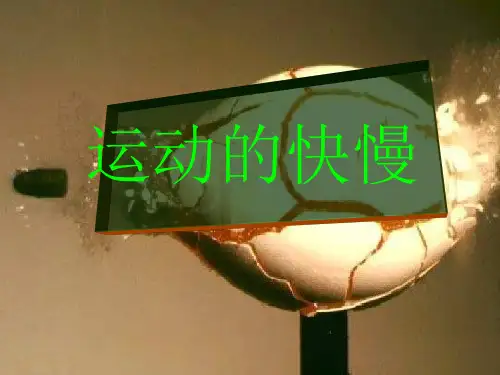 《运动的快慢》全文课件人教版2