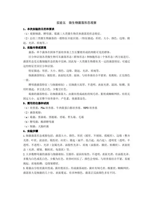 实验五  微生物菌落形态观察