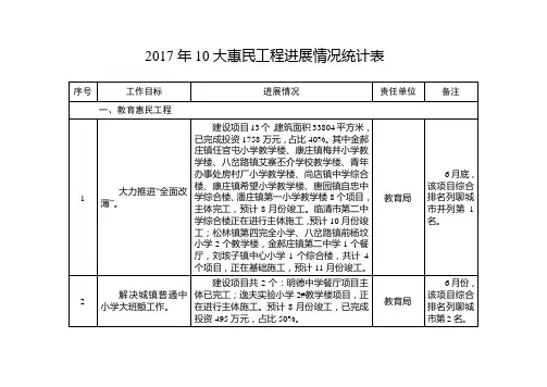 2017年10大惠民工程进展情况统计表