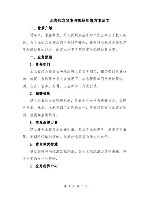 水害应急预案与现场处置方案范文