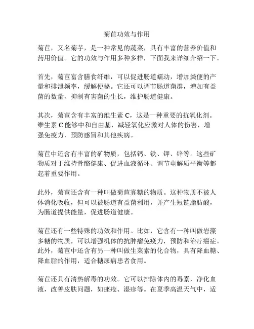 菊苣功效与作用