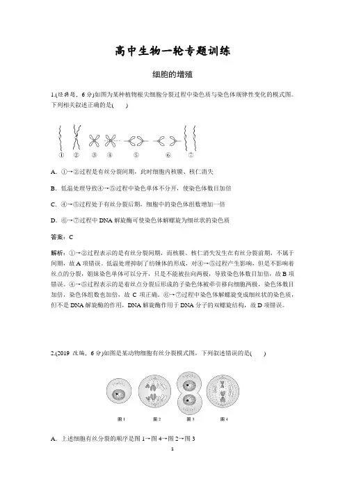 高中生物一轮专题训练：细胞的增殖(含答案详解)