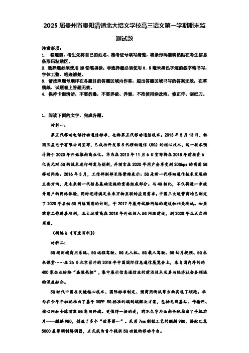 2025届贵州省贵阳清镇北大培文学校高三语文第一学期期末监测试题含解析