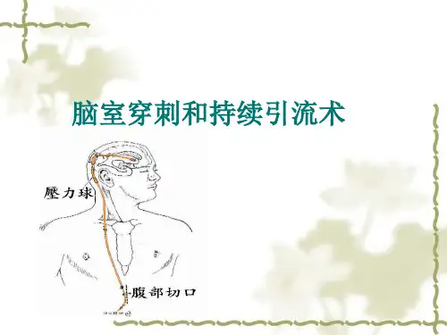 脑室穿刺和持续引流术(4)