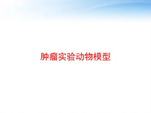 肿瘤实验动物模型 ppt课件