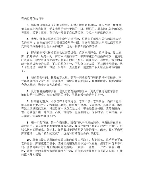 野菊花的句子