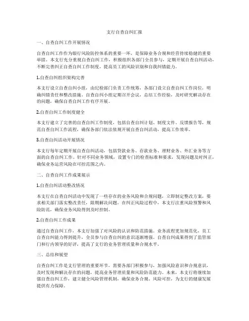 支行自查自纠汇报