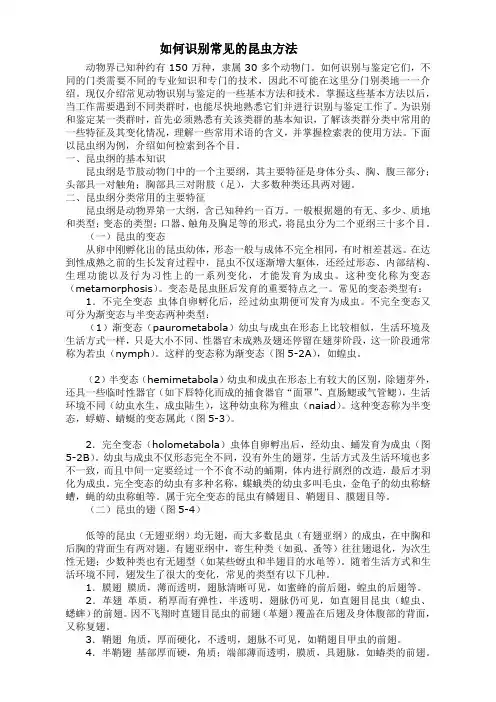 如何识别常见的昆虫方法