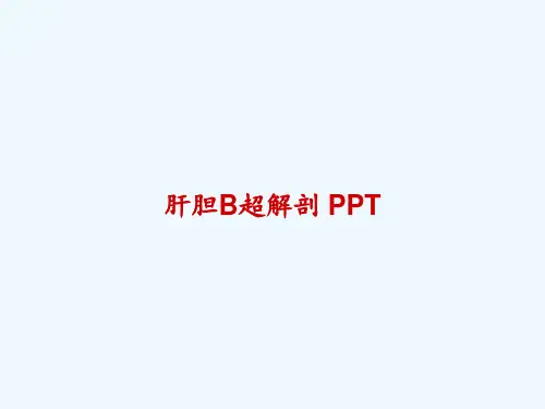 肝胆B超解剖 PPT