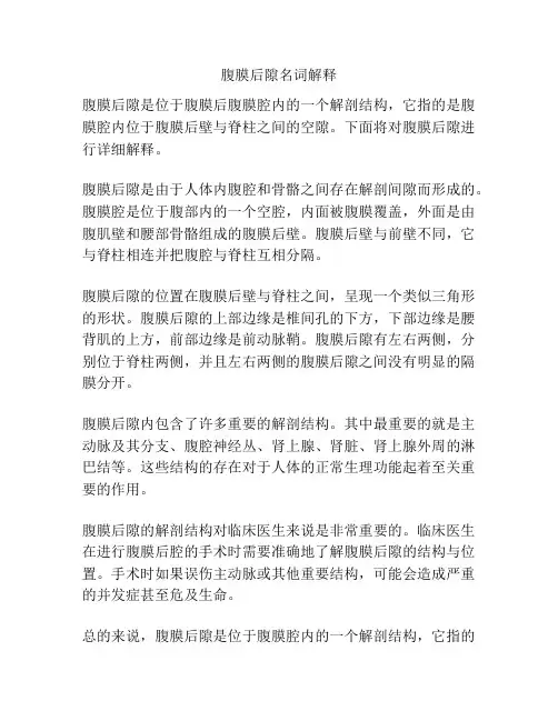 腹膜后隙名词解释
