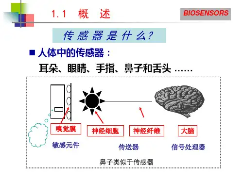 第二讲生物传感器ppt课件