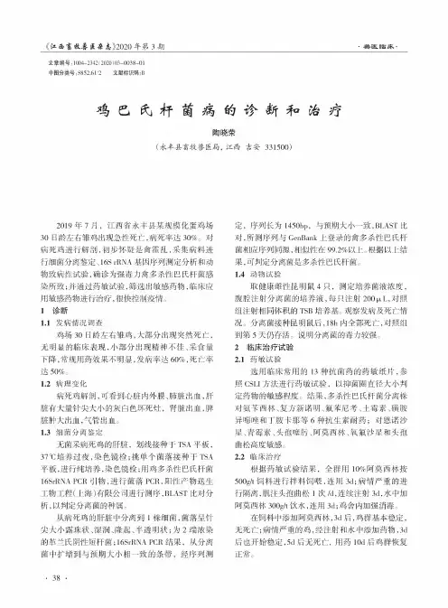 鸡巴氏杆菌病的诊断和治疗