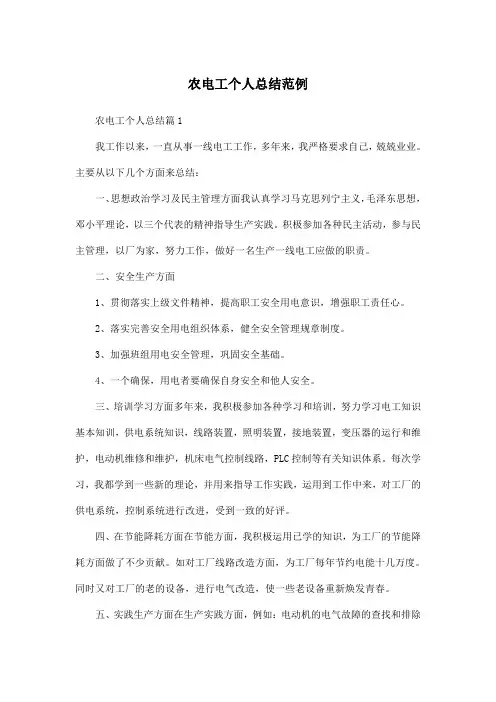 农电工个人总结范例