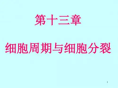 第13章 细胞周期及细胞分裂