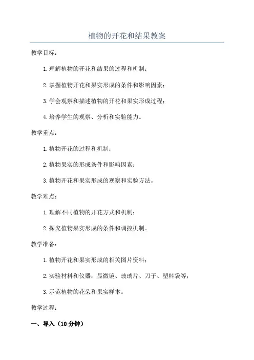 植物的开花和结果教案