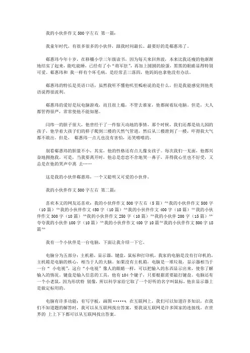 我的小伙伴作文500字左右(5篇)