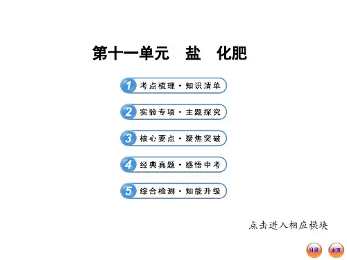 生活中常见的盐  初中九年级化学上册课件