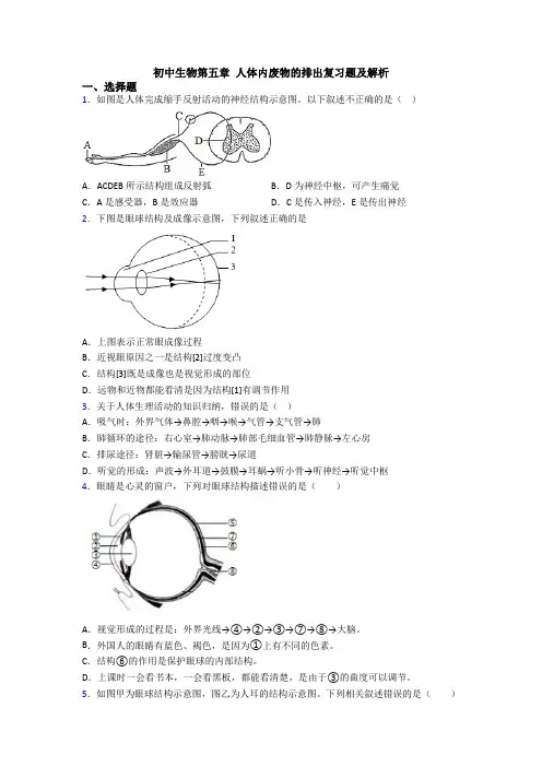 初中生物第五章 人体内废物的排出复习题及解析