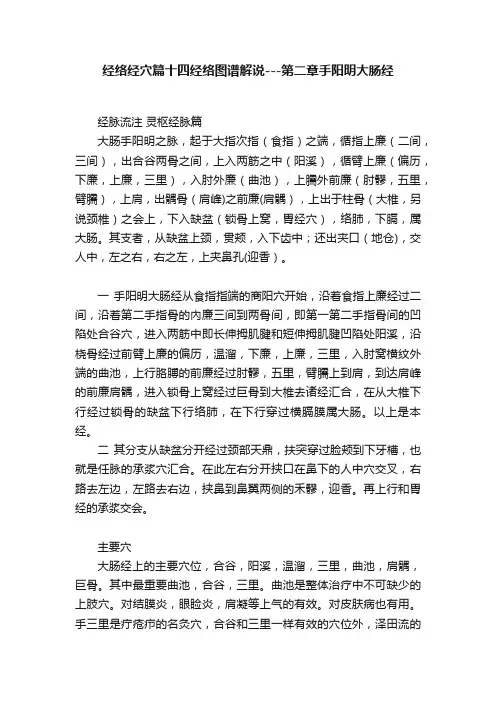 经络经穴篇十四经络图谱解说---第二章手阳明大肠经