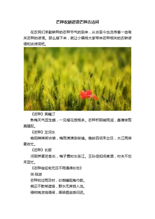 芒种农耕谚语芒种古诗词