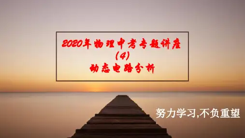 2020年物理中考专题讲座4  动态电路分析