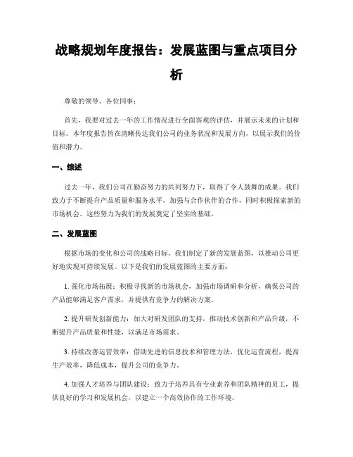 战略规划年度报告：发展蓝图与重点项目分析