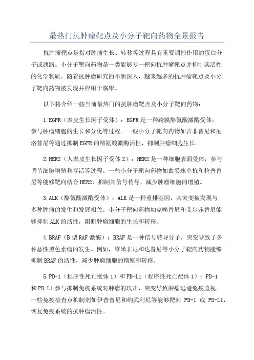 最热门抗肿瘤靶点及小分子靶向药物全景报告