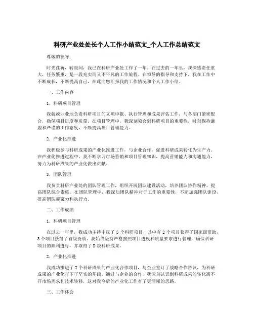 科研产业处处长个人工作小结范文_个人工作总结范文