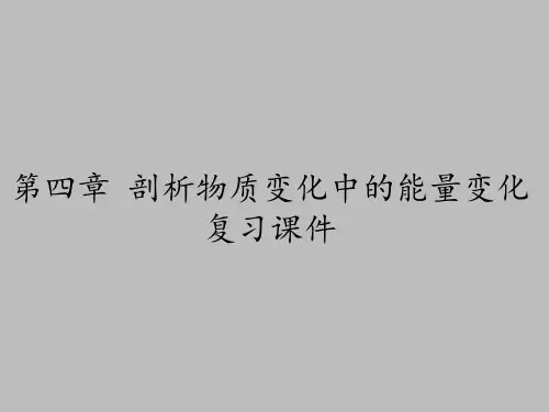 上海科学技术出版社高中化学一年级第一学期：第四章 剖析物质变化中的能量变化 复习课件