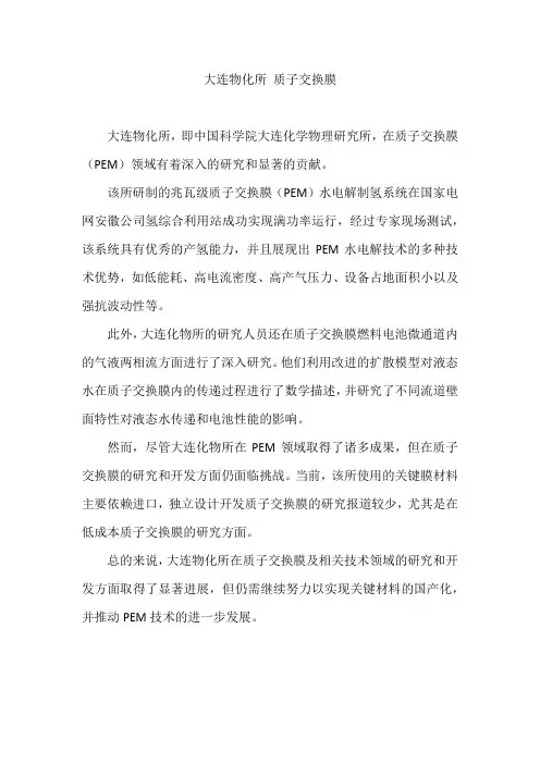 大连物化所 质子交换膜