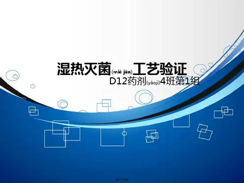 湿热灭菌工艺的验证