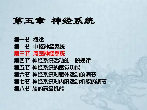 解剖生理学 第五章  神经系统--第三节  周围神经系统