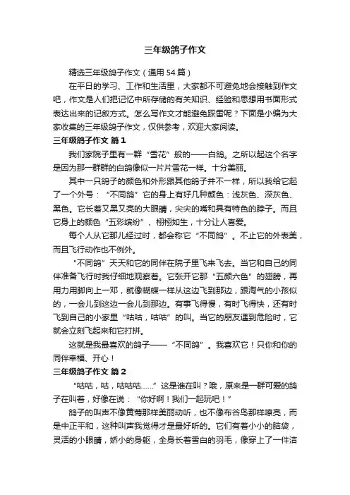 精选三年级鸽子作文（通用54篇）