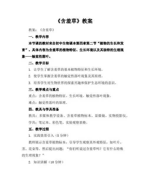 《含羞草》教案