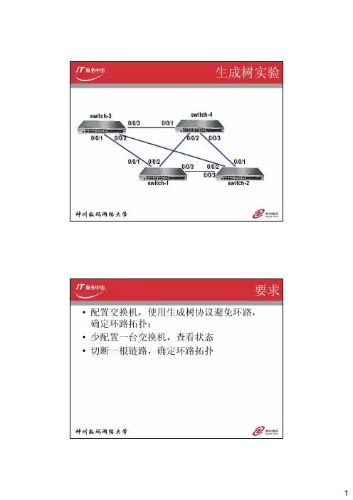 神州数码06生成树协议
