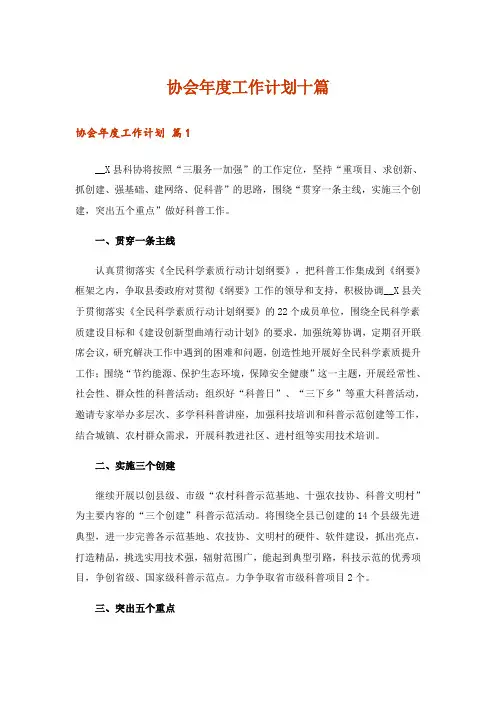 协会年度工作计划十篇