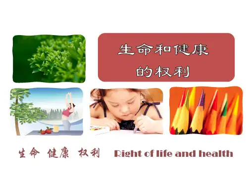 《生命和健康的权利》课件
